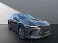 Lexus RX 350h 350 h 4x4 Executive Line Panoramadach Grau - thumbnail 7
