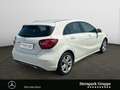 Mercedes-Benz A 180 A 180 Urban LED*PTS*SHZ*NAVI*BLUETOOTH*KEYLESS.* Weiß - thumbnail 5