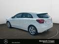 Mercedes-Benz A 180 A 180 Urban LED*PTS*SHZ*NAVI*BLUETOOTH*KEYLESS.* Blanc - thumbnail 3