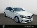 Mercedes-Benz A 180 A 180 Urban LED*PTS*SHZ*NAVI*BLUETOOTH*KEYLESS.* Weiß - thumbnail 7