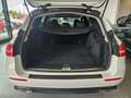 Mercedes-Benz E 220 E SW 220 d Premium Plus 4matic auto my20 Bianco - thumbnail 10