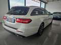 Mercedes-Benz E 220 E SW 220 d Premium Plus 4matic auto my20 Bianco - thumbnail 6
