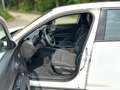 Fiat 600 600 1.2 Mild-Hybrid Sonderedition (EURO 6e) Wit - thumbnail 8
