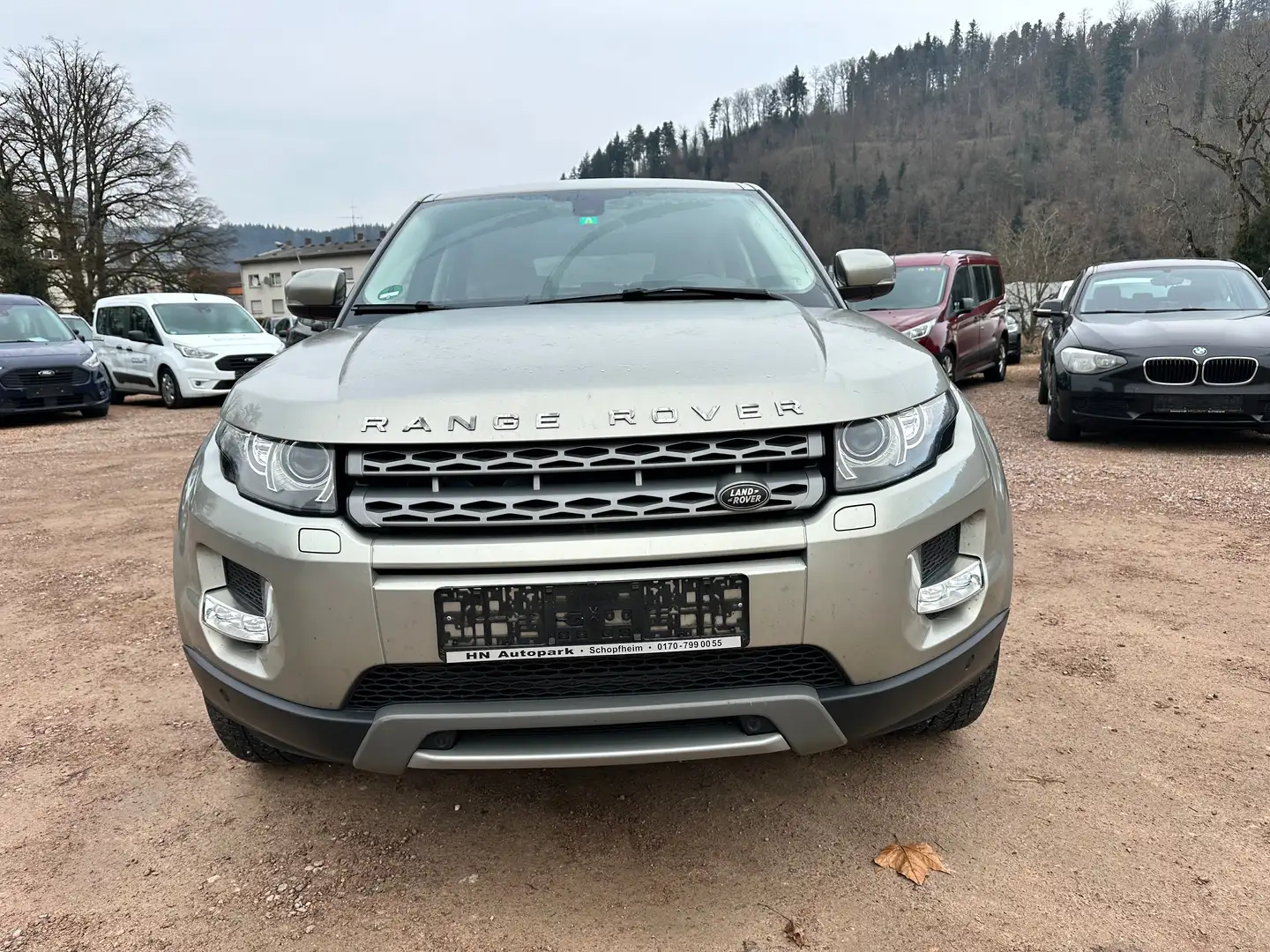 Land Rover Range Rover Evoque Pure Allrad *Navi*Touchscreen+Ledersitze* Or - 2