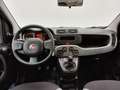 Fiat Panda CROSS 1.0 GSE FIREFLY HYBRID 70CV 5POSTI ONLYPROMO Zwart - thumbnail 7