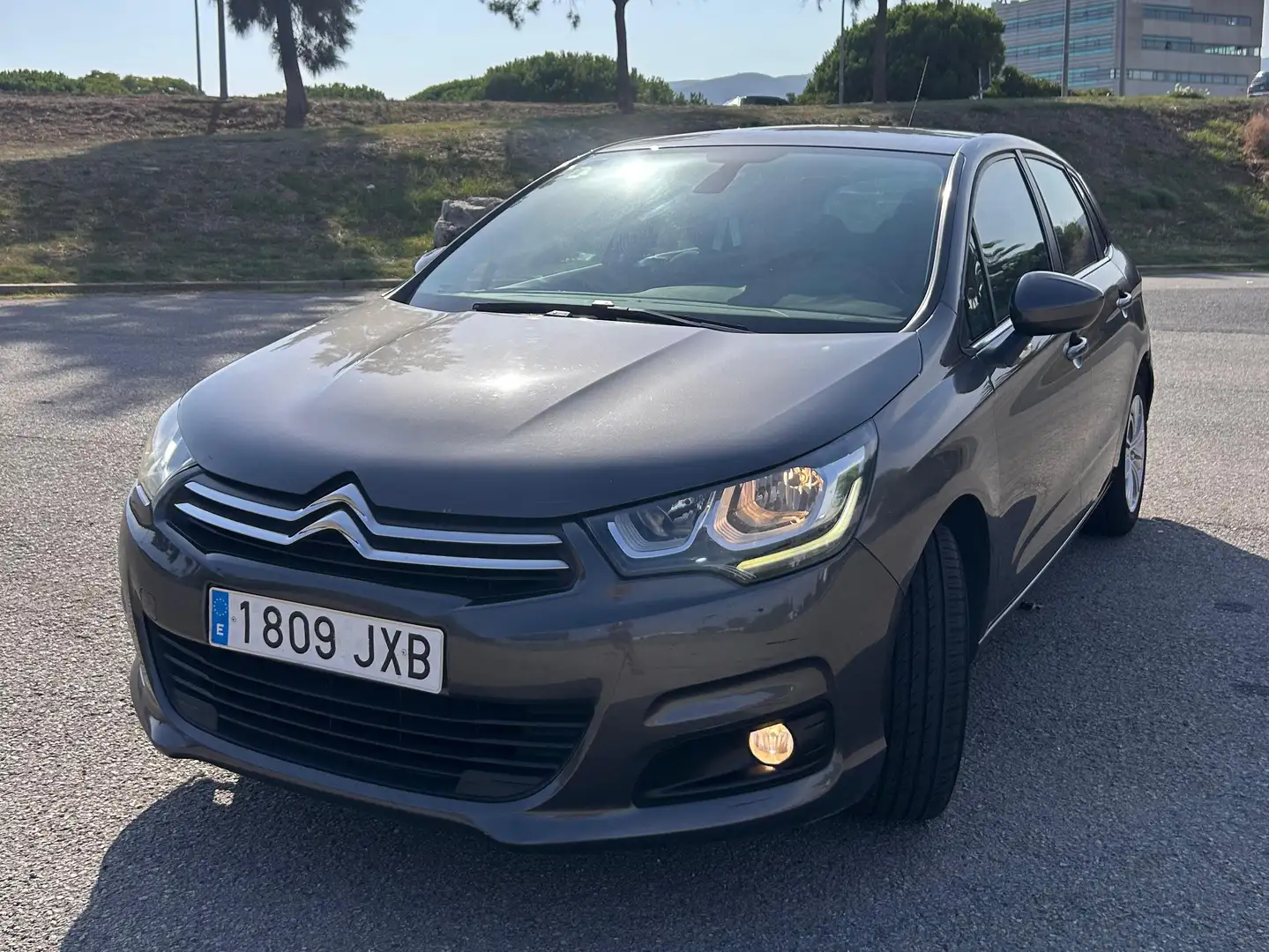 Citroen C4 C4 1.2 PureTech Live Edition 110 Live Edition Gris - 1