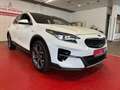 Kia XCeed XCeed JBL Sound Edition//1.Hand//Scheckheft// Blanc - thumbnail 1