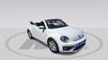 Volkswagen Beetle 1.2 TSI Design 77kW Blanco - thumbnail 3