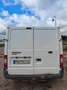 Ford Transit 85 T260 Weiß - thumbnail 3