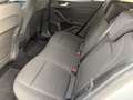 Ford Focus Titanium, Navi, AHK, Fahrassistent, Automatik, ACC Weiß - thumbnail 9