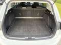 Ford Focus Titanium, Navi, AHK, Fahrassistent, Automatik, ACC Weiß - thumbnail 15