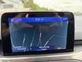 Ford Focus Titanium, Navi, AHK, Fahrassistent, Automatik, ACC Weiß - thumbnail 12