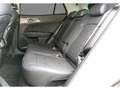 Kia Sportage 1.6 CRDi MHEV 100kW (136CV) Tech 4x2 - thumbnail 13