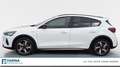 Ford Focus Active 5 porte 1.0 EcoBoost Hybrid Design Bianco - thumbnail 2