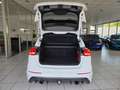 Ford Focus Lim. RS*Recaro Sitze Weiß - thumbnail 26