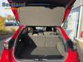 Ford Puma ST-LINE 1.0L MHEV 155PS Rood - thumbnail 12