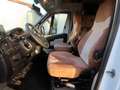 Dethleffs Globebus 2.3 D  T011/T015 Wit - thumbnail 11