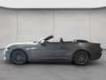 Ford Mustang Convertible 5.0 Ti-VCT V8 GT 328 kW, 2-tür Grijs - thumbnail 2