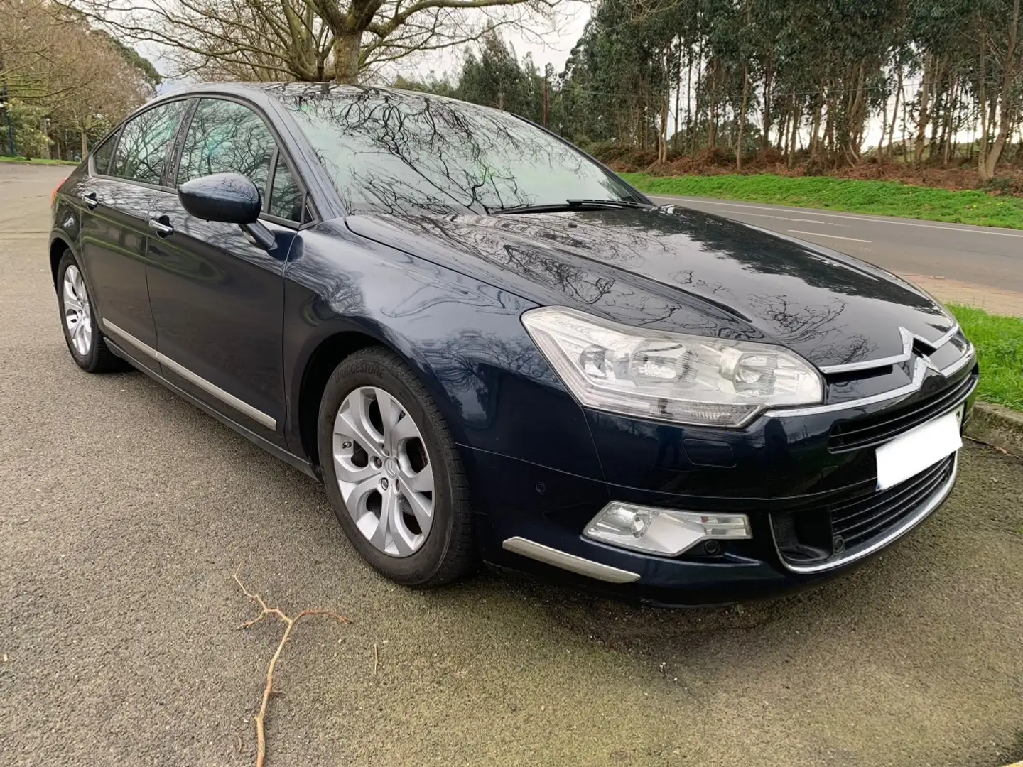Citroen C5 2.0HDI Business Negro - 1