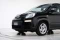 Fiat Panda 1.0 CITY LIFE S&S HYBRID NEOPATENTATI Nero - thumbnail 11