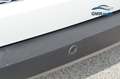 Fiat Fiorino 1.3 MJT 95CV Cargo SX 42000km ALLESTITO Bianco - thumbnail 6