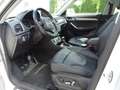 Audi Q3 2,0 TDI design quattro S-tronic, MMI+, Panorama, B Weiß - thumbnail 4