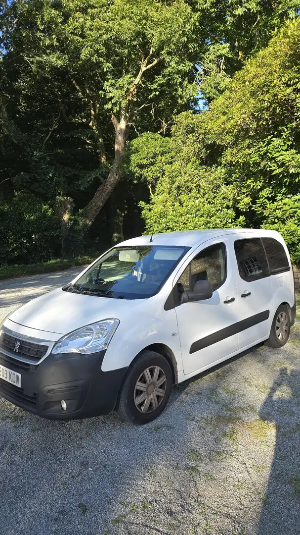 Peugeot Partner Tepee 1.6BlueHDI Access 100 - 2