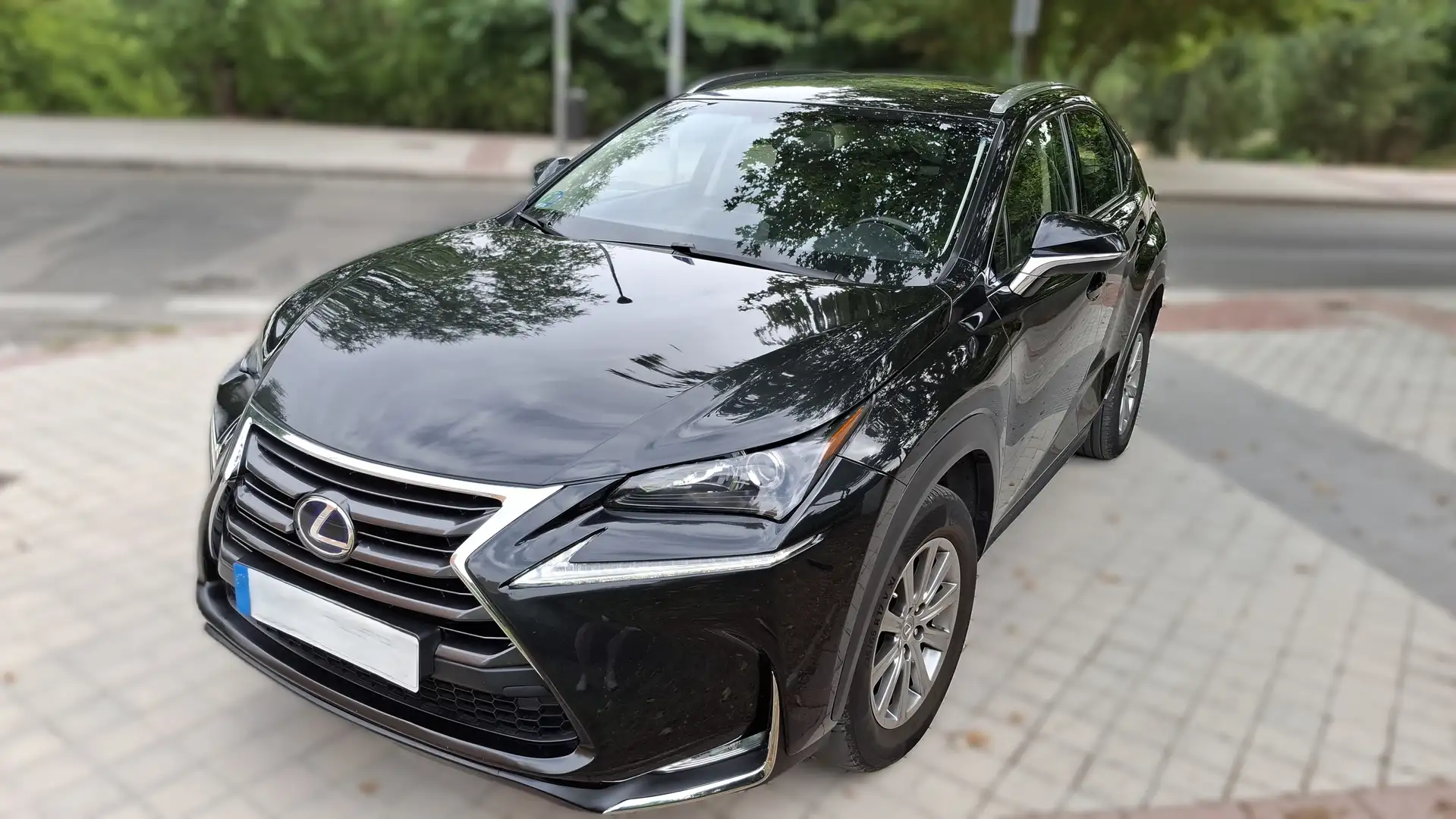 Lexus NX 300h NX 300h Corporate 2WD Corporate Negro - 1