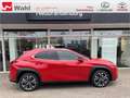 Lexus UX 250h Style Edition KEYLESS PDC SHZ ACC LED Rot - thumbnail 15