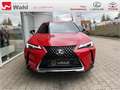 Lexus UX 250h Style Edition KEYLESS PDC SHZ ACC LED Rot - thumbnail 2