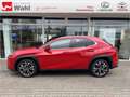 Lexus UX 250h Style Edition KEYLESS PDC SHZ ACC LED Rot - thumbnail 3