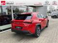 Lexus UX 250h Style Edition KEYLESS PDC SHZ ACC LED Rot - thumbnail 12