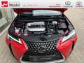 Lexus UX 250h Style Edition KEYLESS PDC SHZ ACC LED Rot - thumbnail 11