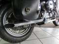 Harley-Davidson Sportster XL 883 34 kW (46 PS), Schaltgetriebe ljubičasta - thumbnail 13