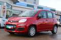 Fiat Panda 4x2 FireFly Hybrid 70 Pop Rot - thumbnail 1