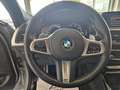 BMW X4 X4 xdrive20d mhev 48V Msport X auto RETROCAM NAVI Argento - thumbnail 11