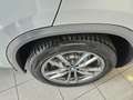 BMW X4 X4 xdrive20d mhev 48V Msport X auto RETROCAM NAVI Argento - thumbnail 12