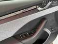 Skoda Octavia Combi 2.0 TDI 110 kW Tour ACC 360° UNFAL Weiß - thumbnail 18