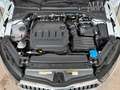 Skoda Octavia Combi 2.0 TDI 110 kW Tour ACC 360° UNFAL Weiß - thumbnail 19