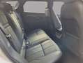 Land Rover Range Rover Evoque P300E SE AWD PIH MY23 Blanco - thumbnail 10