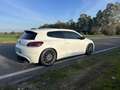 Volkswagen Scirocco 2.0 tsi R 265cv dsg Bianco - thumbnail 14