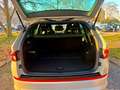 Skoda Kodiaq RS 4x4 7.Sitze / Automatik / Navi /Pano Grau - thumbnail 18