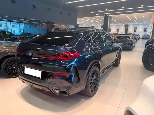 BMW X6 view 13