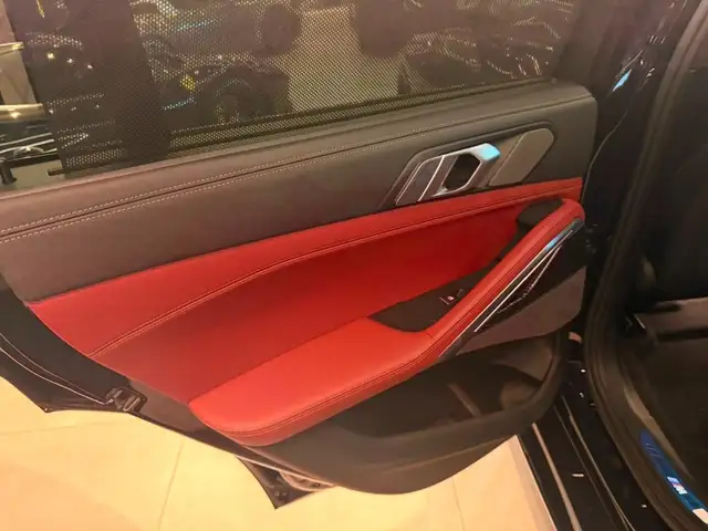 BMW X6 view 15