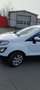Ford EcoSport ECOSPORT 1.0 EcoBoost COOL Weiß - thumbnail 6