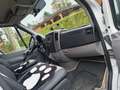 Mercedes-Benz Sprinter Camper Blanco - thumbnail 6