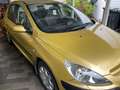 Peugeot 307 307 5p 1.6 16v XT auto Bronzo - thumbnail 6