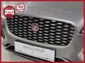 Jaguar XF D200 AWD R-Dynamic SE Aut. Gri - thumbnail 13