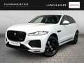 Jaguar F-Pace R-Dynamic SE D300 Black Pack Toter Winkel Spurassi Weiß - thumbnail 1