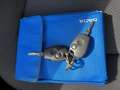 Dacia Sandero II Ambiance 1.HAND*KLIMA*EFH*CD-RADIO* Blau - thumbnail 8